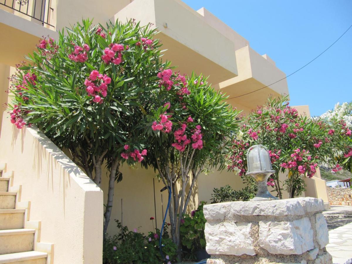 Eugenia Travasarou Sea View Appartments Diakofti ภายนอก รูปภาพ